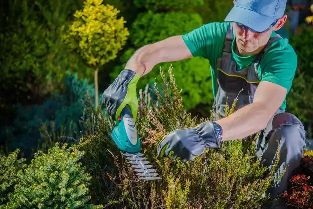landscaping services Dimondale